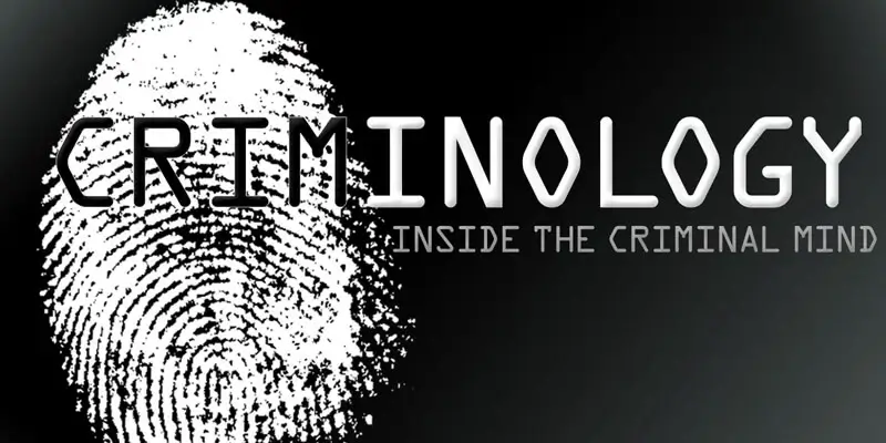 inside the criminal mind