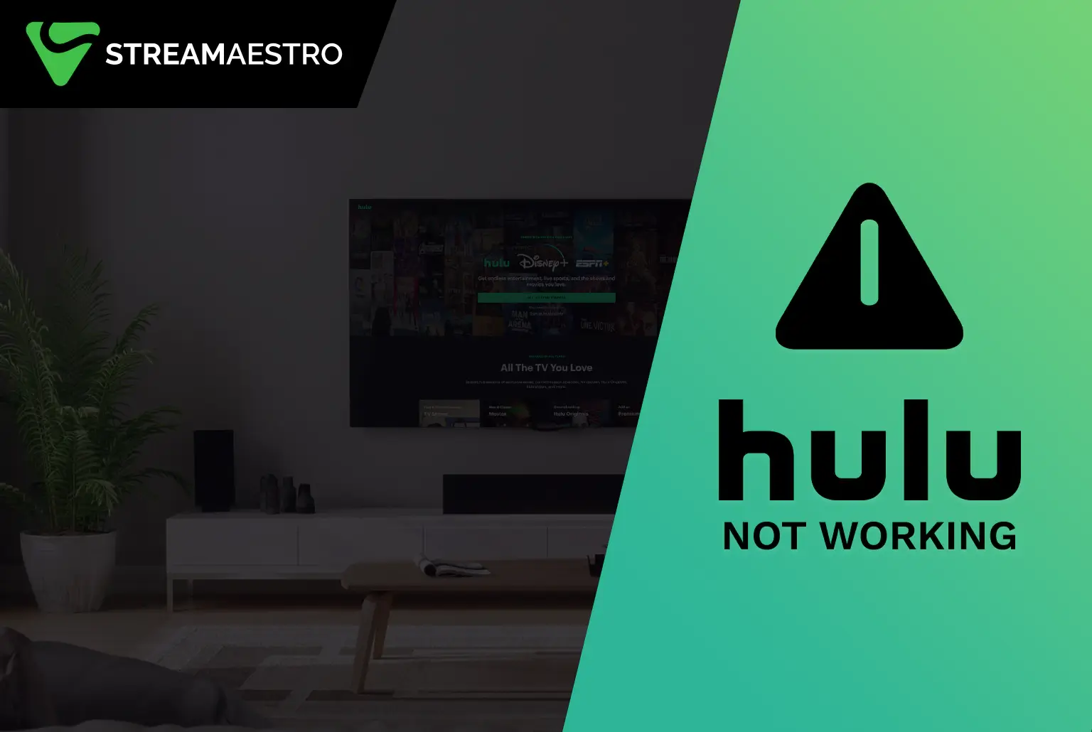 Is Your Hulu Not Working?